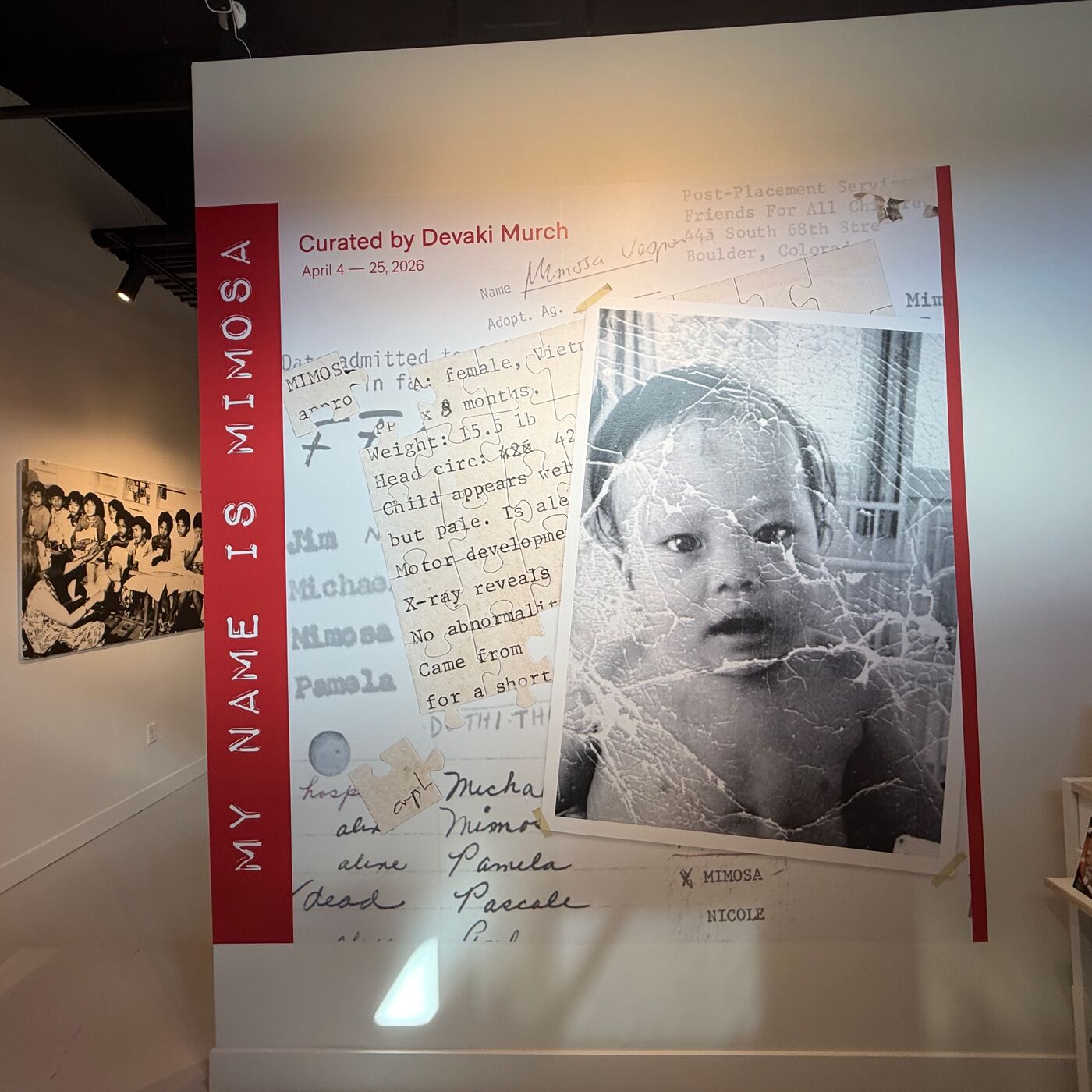 My Name Is Mimosa, East Window Gallery
