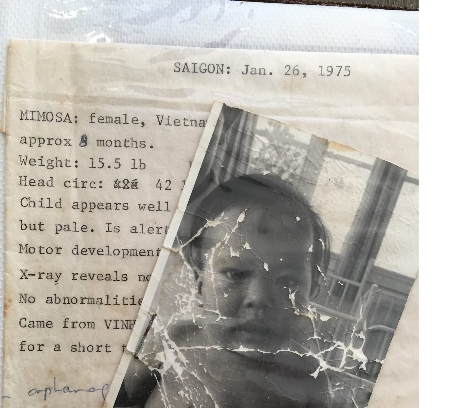 A 1975 Saigon intake record for a child coded Mimosa, paired with a cracked black-and-white photograph