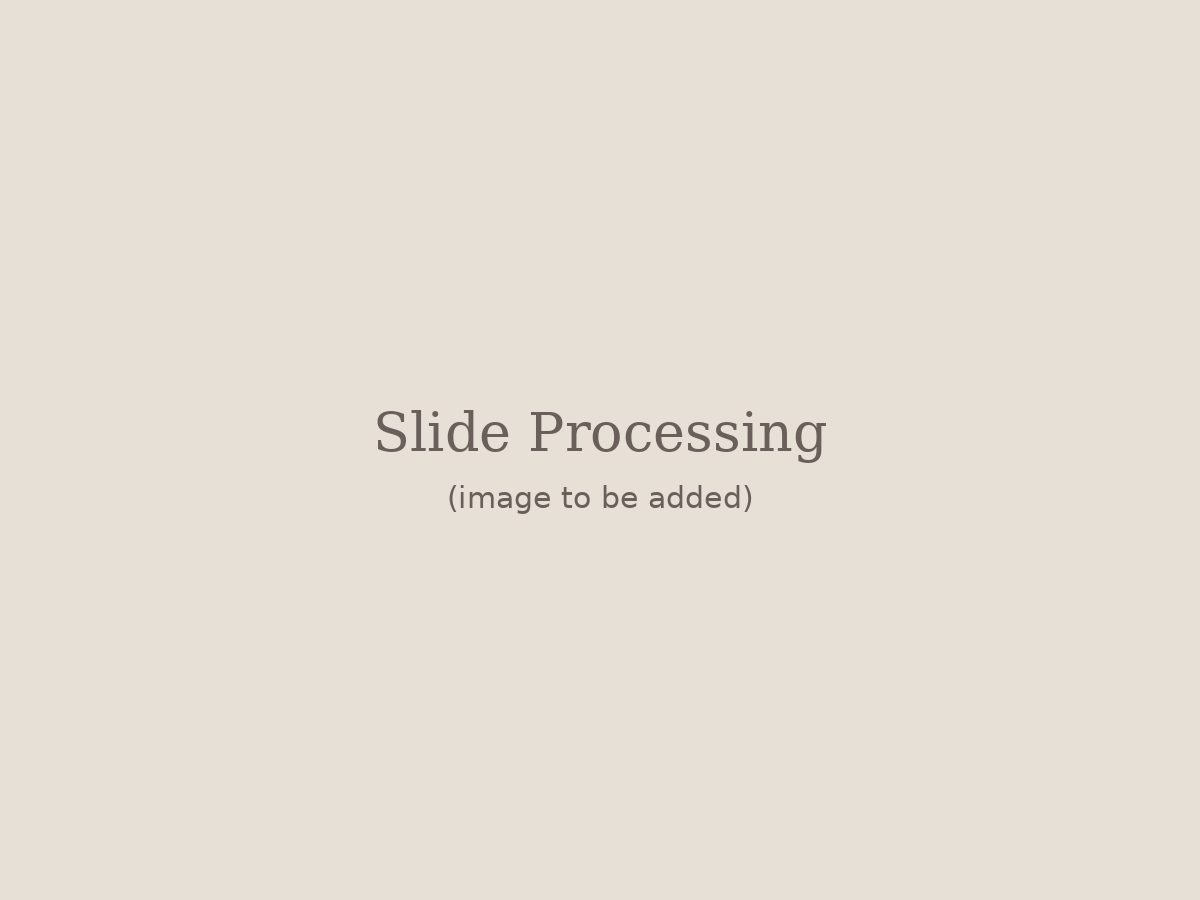 A vintage slide viewer and digital scanner used to process archival transparencies